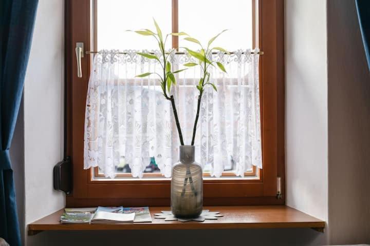 Vanek Apartment Kotschach-Mauthen المظهر الخارجي الصورة